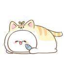小H
